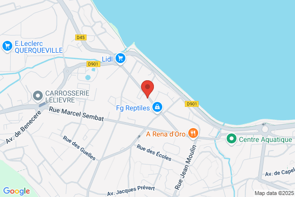 Comite D Activites Subaquatiques Manche