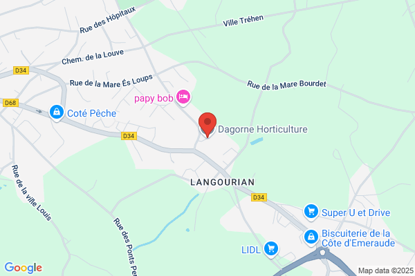 Dagorne Horticulture