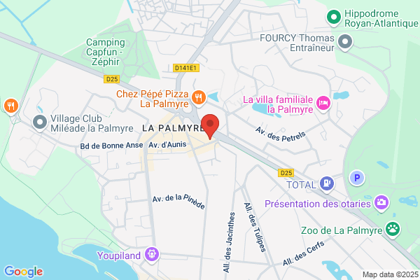 Agence Immobiliere De La Palmyre