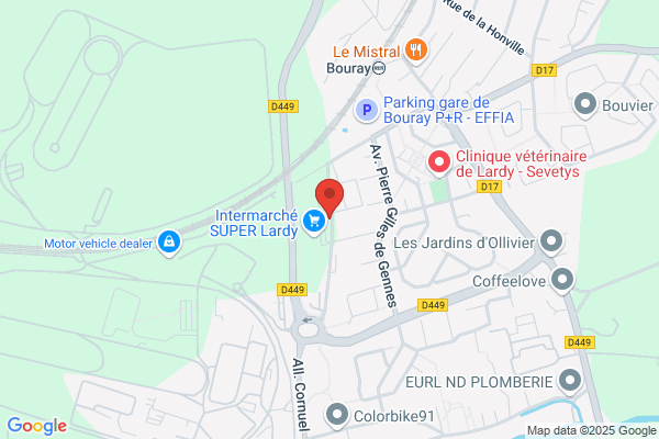 RAPID PARE-BRISE ETRECHY - ETAMPES