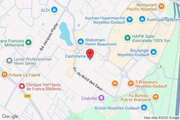 Castorama France