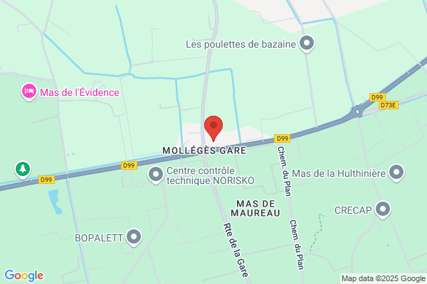 Domaine De Costebonne