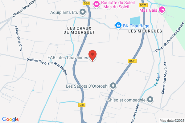 Earl Des Sarressanes