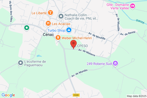 Cpeso Compagnie Promotion Eco Sud Ouest
