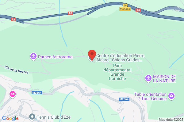 Association Chiens Guides D Aveugles Provence Cote D Azur