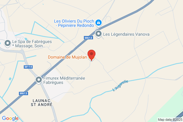 Domaine De Mujolan