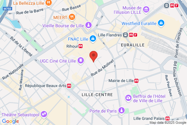 Parking Indigo Lille Rues Pietonnes - Le 31
