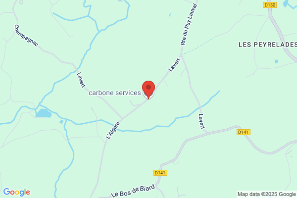 carbone services
