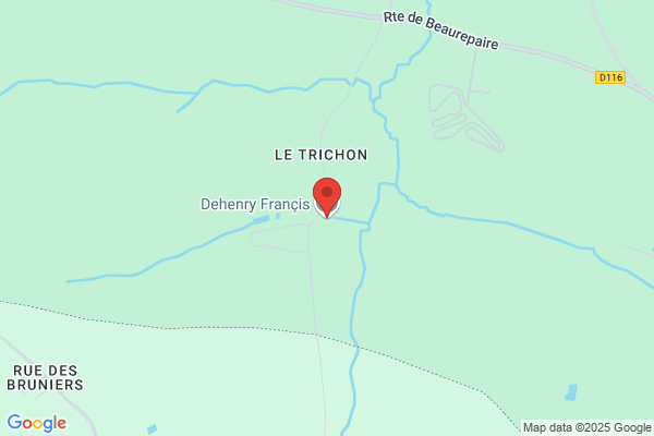 Datichy Henri