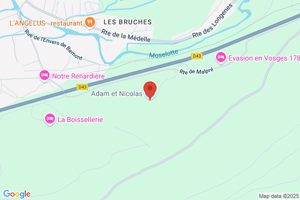 Adam Et Nicolas