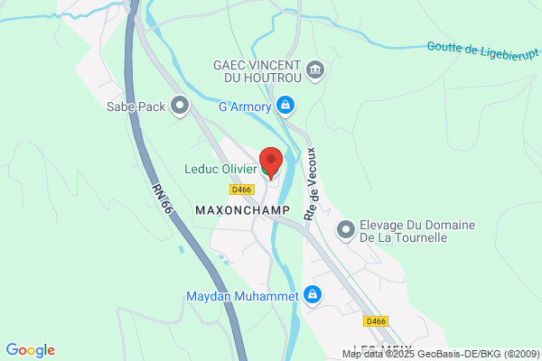 Camping De Maxonchamp