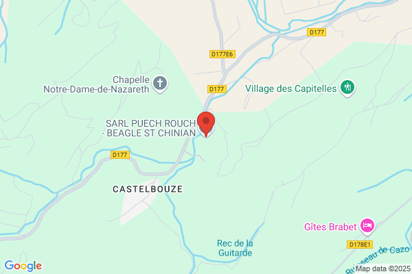 SARL PUECH ROUCH - BEAGLE ST CHINIAN