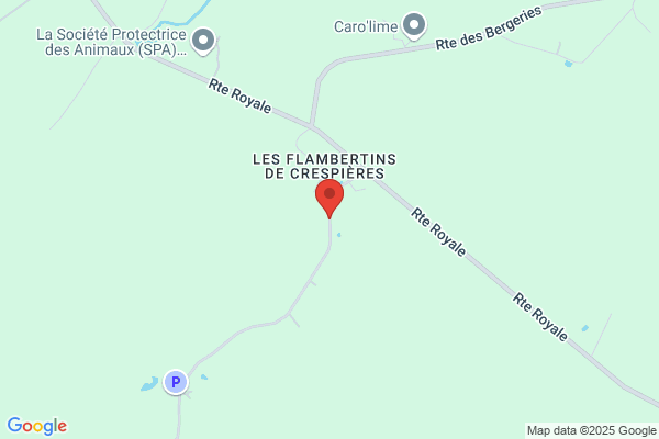 Beauge Francis