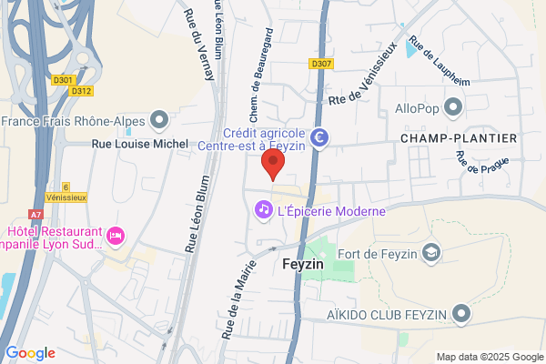 Boule Feyzinoise