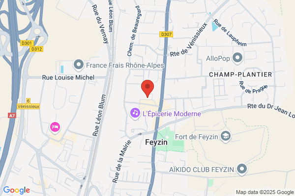 Taxi Lyon Sud