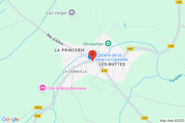 couleur bois