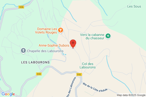 Boisen Anders Courtiers Vins