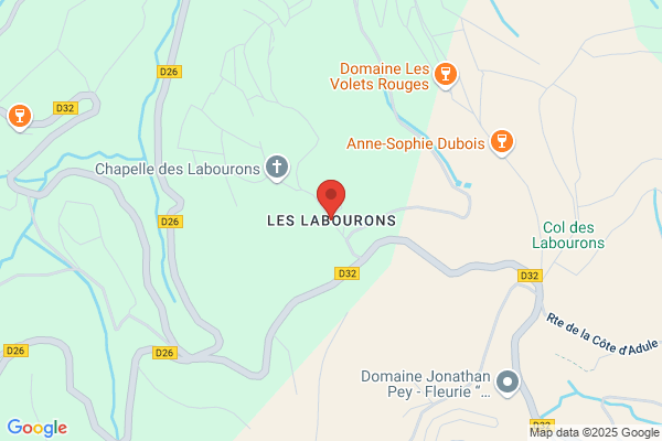 Chateau Des Labourons