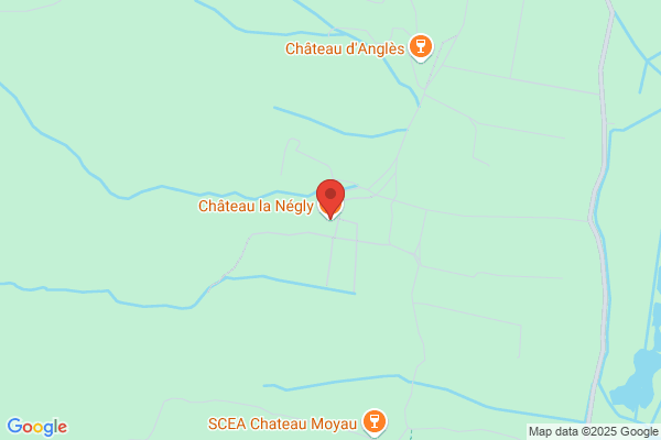 Chateau De La Negly
