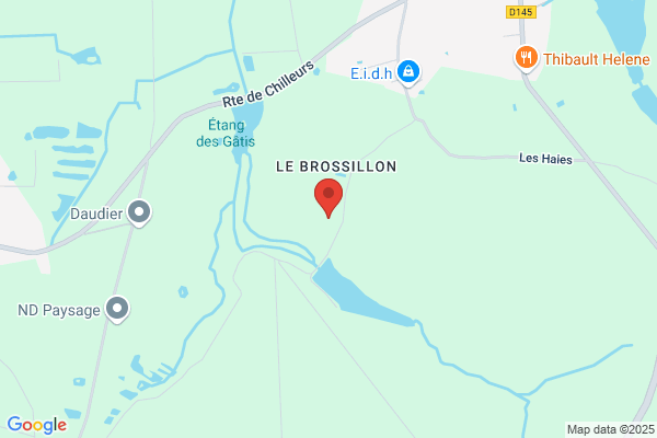 Bariseaux Gerard