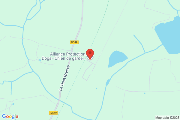 Agence Protection Intervention Canine