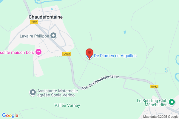 Chaman Plume d'Aigle