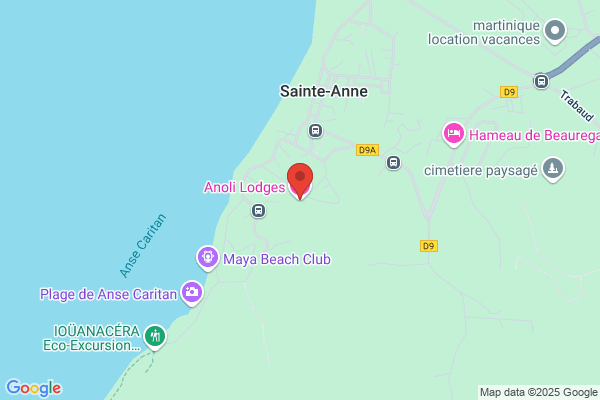 Anoli Tours