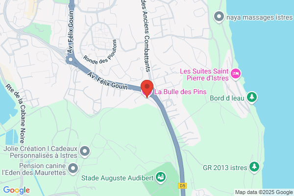 Hotel Des Pins