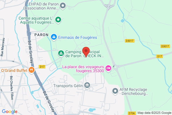 Drapeau De Fougeres