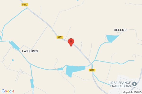 Bigos Sylvie
