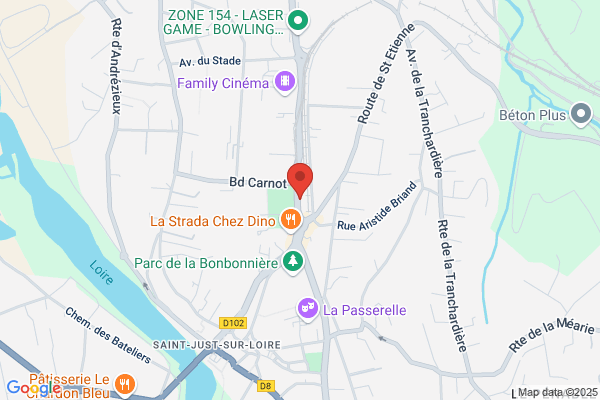 Conseil General De La Loire