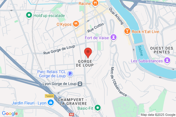 Icl Institut Commercial Lyonnais