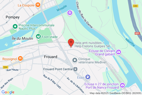 Help Frelons Guêpes 54