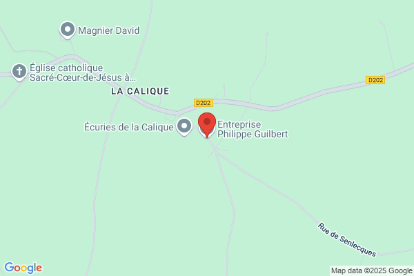 Guilbert Damien