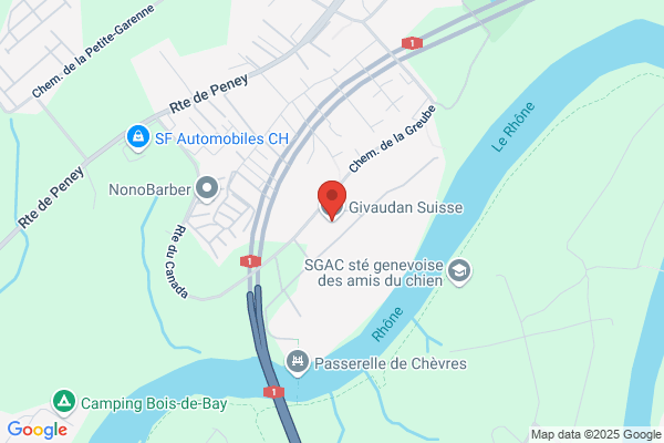 Givaudan Jean Luc