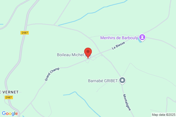 Boileau Michel
