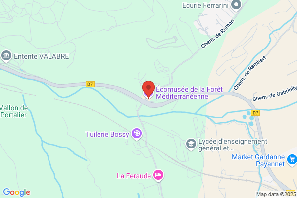 Institut Pour La Protection Et La Valorisation de La foret medi