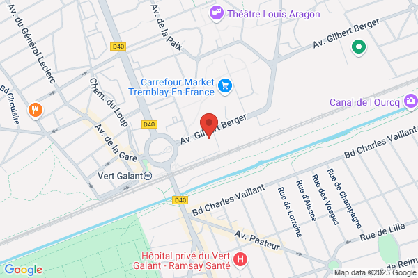Paris Airport Driver