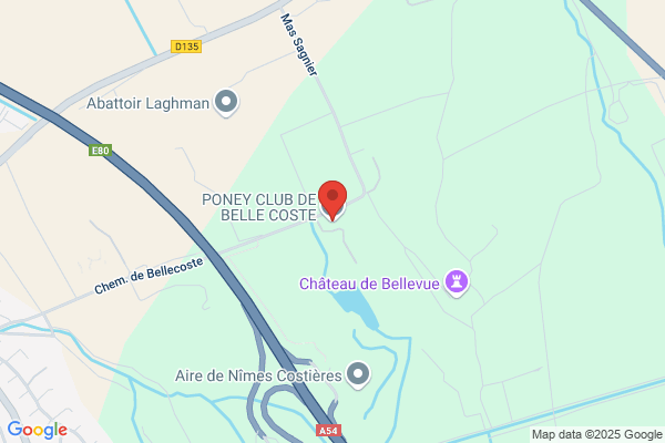Chateau De Belle Coste