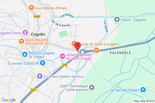 Dep Elec Du Golfe