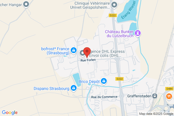 Bourguia Humbrecht Marie Rose Peintre