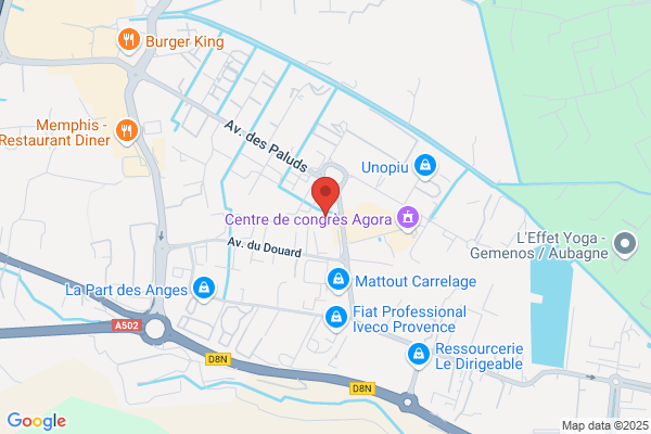 Cejip Services