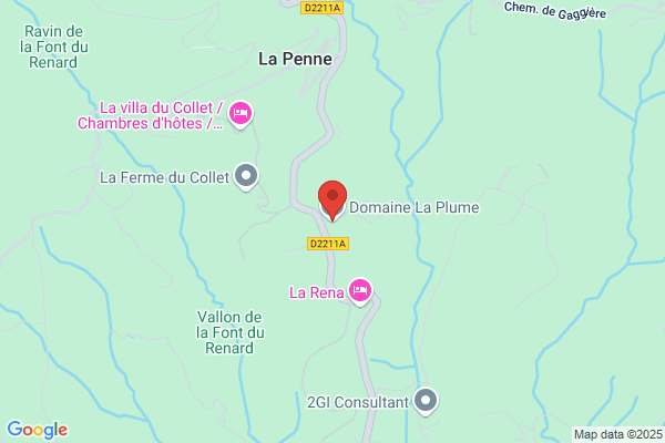 PLUME d'ECUREUIL