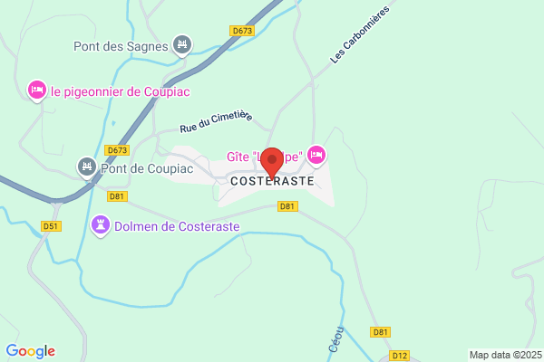 Costeraste Dominique