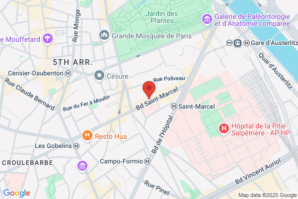 Coco D Iles