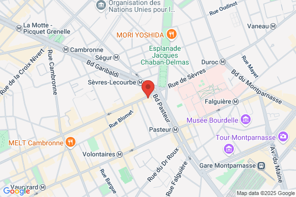 290 Rue Lecourbe Sarl