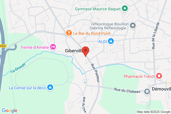 Gallay Dominique