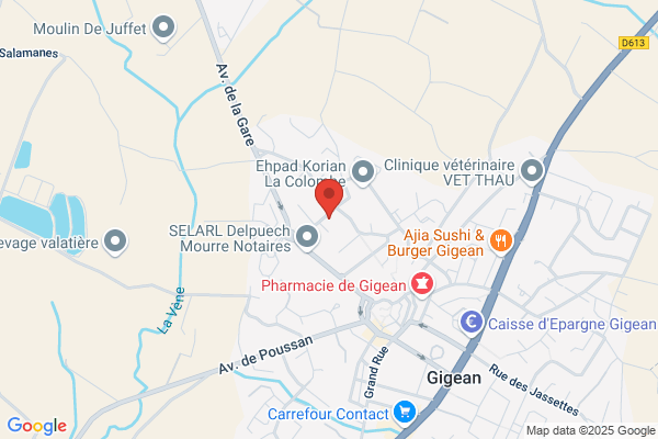 Agence Gardiennage Prevention Surveillan