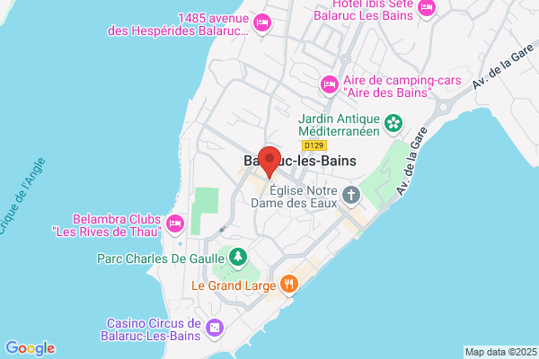 Ballini Cammal Francoise Calas Vedel Anny Scp des docteurs