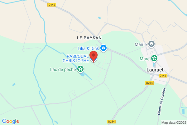 PASCOUAL